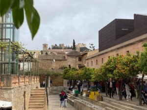 Mallorca, die älteste Stadt Europas Lupa Escort Mallorca escort